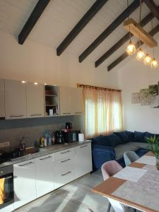 a kitchen and a living room with a blue couch at Luca`s Chalet Ocnele Mari in Ocnele Mari