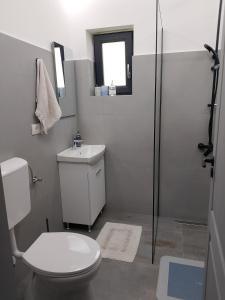 a bathroom with a toilet and a shower and a sink at Luca`s Chalet Ocnele Mari in Ocnele Mari +23 photos