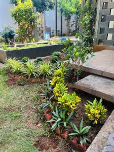 a garden with some plants and some steps at Oceanami Resort beach club in Long Hai +4 photos