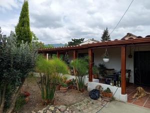 a house with a bunch of plants in the yard at Fonte di vita in Duitama +15 photos