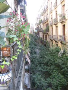 una calle con plantas en los balcones de los edificios en Pension Alamar, en Barcelona