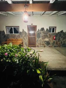 ein Zimmer mit einigen Pflanzen und einer Holztür in der Unterkunft #3 Rancho Meling in Camalú