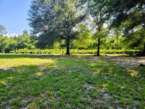 a field of grass with trees in the background at Whippowill Cabin in Moss Point