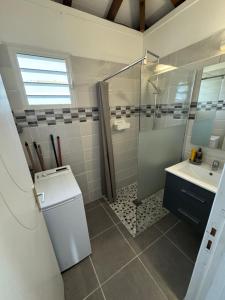 a bathroom with a shower and a toilet and a sink at Freedom House in Le Diamant