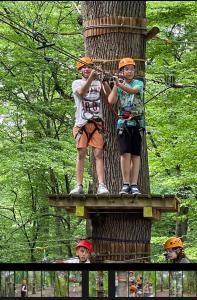 two boys are standing on the top of a tree at Villa Franca Luxury Chalets in Sighişoara