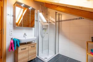 a bathroom with a sink and a shower at Kramerhof - Ferienwohnung Wallberg in Aufhofen