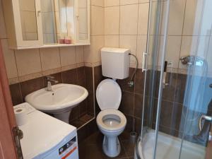 a bathroom with a toilet and a sink and a shower at Kumbor S in Herceg-Novi