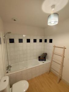 a bathroom with a bath tub and a toilet at L'insolite comblée in Ustou +32 photos