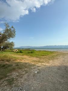 a dirt road next to a field with the ocean at LakeSide Camping in Koplik
