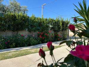 a garden with pink flowers and a fence at Aloju Rooms in Vlorë