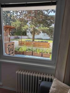 a window with a view of a park with a bench at Apartmán Větrná s klimatizací a terasou in Zlín +2 photos