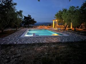 a swimming pool in the middle of a yard at night at Villa Natali in Pridraga