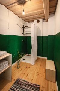 a green and white room with a shower in it at Retreat House in Lauvas +70 photos