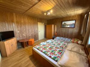 a bedroom with a large bed and a television at Liptovsky Zrub in Gôtovany