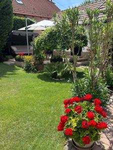 a garden with red flowers in a yard at CSAOL Apartman ház in Velence