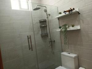 a bathroom with a shower with a toilet and a glass door at Apartamento Carmen céntrico in Santa Bárbara de Samaná +18 photos