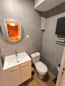 a bathroom with a toilet and a sink and a mirror at Le Cocon de Sévérac I Clim & cour intérieure in Sévérac d' Aveyron