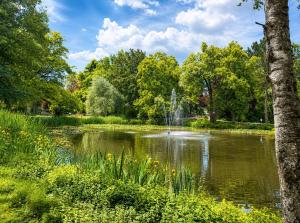 a pond with a fountain in a park at Palmen Apartment direkt in Bad Aibling in Bad Aibling