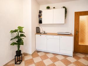 a kitchen with white cabinets and a potted plant at Palmen Apartment direkt in Bad Aibling in Bad Aibling
