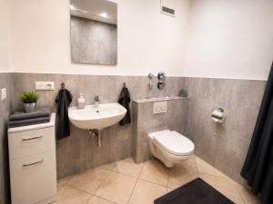 a bathroom with a toilet and a sink at Palmen Apartment direkt in Bad Aibling in Bad Aibling +8 photos