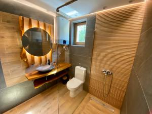 a bathroom with a toilet and a sink and a mirror at Vila Vlasinski mir in Surdulica