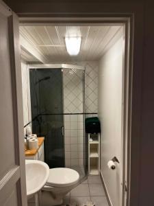 un baño con ducha, inodoro y lavabo en The Hideout, en Estocolmo