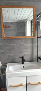 a bathroom with a white sink and a mirror at Entre vigne et Loire in La Coindassière +23 photos