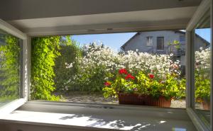 a window view of flowers in a garden at Studio Southwest 1 with AirCon & FREE Parking in Ljubljana +1 photo