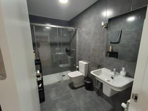 a bathroom with a toilet and a sink and a shower at Apartamentos Illa Pancha in Ribadeo +11 photos