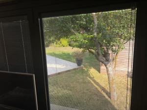 a window with a view of a tree in a yard at The Garden Studio in Wargrave