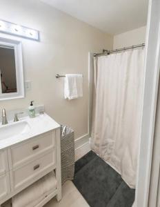 a bathroom with a sink and a shower curtain at Main Street Stay in Georgetown