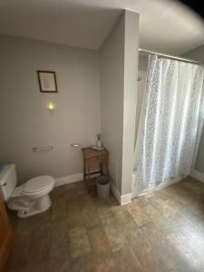 a bathroom with a toilet and a shower curtain at The old parsonage bed and breakfast in Kennebunkport
