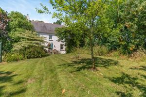 a tree in the yard of a house at 3 Bed in Castlemorris oc-94522 in Castlemartin