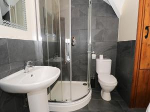 a bathroom with a sink and a toilet and a shower at Cornel Clyd in Llanddulas +18 photos