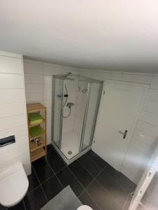 a bathroom with a shower and a toilet at Apartments Soldanella in Leukerbad +37 photos