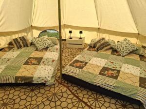 a bedroom with a bed in a tent at Sleep4GlampingTent-NearTralee-Countryside in Tralee +17 photos