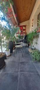 a room with chairs and potted plants on the floor at Le cocon in Carpentras
