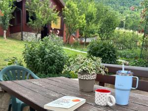 a wooden table with a book and a potted plant on it at Apartment LAKEVIEW in Plužine +46 photos