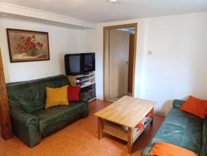 a living room with a green couch and a table at Ferienhof Saalendorf in Großschönau