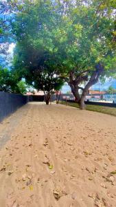 a dirt road with two trees in a park at Pousada Cajueiro Beach House in Parnaíba