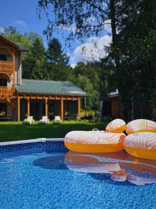 a swimming pool with orange inflatables in a yard at Leśniczanka in Brenna