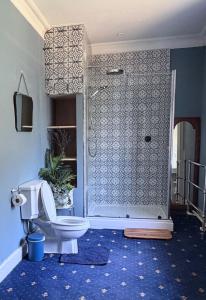 a bathroom with a shower with a toilet in it at Rural Victorian Mansion with far reaching views in Wrington +50 photos