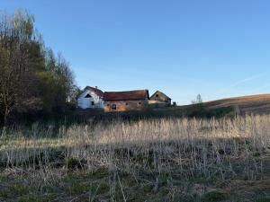 an old house in the middle of a field at Zawiszyn 12 in Dubeninki