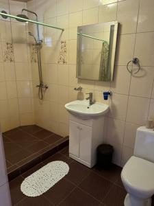 a bathroom with a sink and a toilet and a mirror at Релакс in Svityazʼ