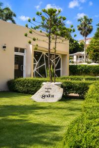 a tree in a rock in front of a house at Skylight Suites Hotel in San Felipe de Puerto Plata