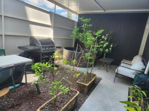 a patio with plants and a grill in a room at OSHER Simple house in Nahariyya