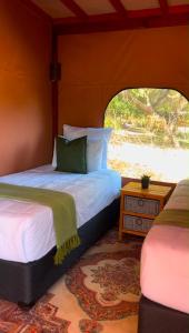 a bedroom with two beds and a window at Terracotta River Hideaway in Maun