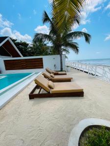 a group of lounge chairs sitting on the beach at Solymar Villa 3 in Jambiani