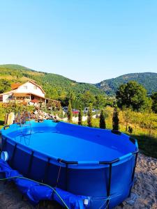 a large blue tub sitting on top of a hill at Vila Vali in Şuncuiuş