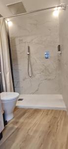 a bathroom with a shower and a toilet at A un paso de Laurel Estudio con balcón in Logroño +31 photos